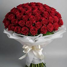 Букет 101 Красная роза Блэк Мэджик в Шыгырдан