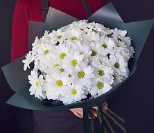 Букет цветов из:  Хризантемы #REPLACE_PRED# Шыгырдан