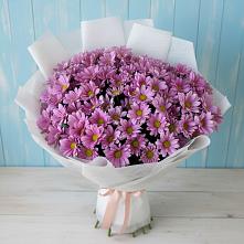 Букет цветов из:  Хризантемы в Шыгырдан