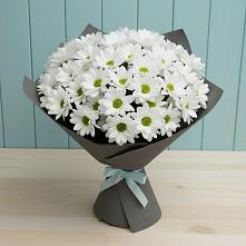 Букет цветов из:  Хризантемы #REPLACE_PRED# Шыгырдан