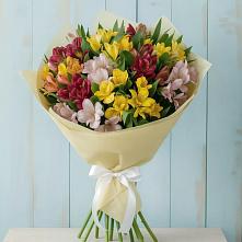 Букет цветов из:  Альстромерии в Шыгырдан