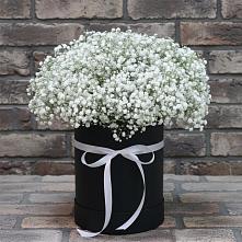 Цветочная композиция из Гипсофила в шляпной коробке #REPLACE_PRED# Шыгырдан