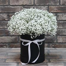 Цветочная композиция из Гипсофила в шляпной коробке в Шыгырдан