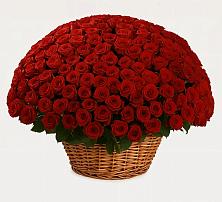 Премиум букет из: Розы в Шыгырдан