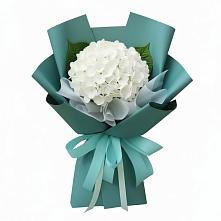 Букет цветов из:  Гортензия в Шыгырдан